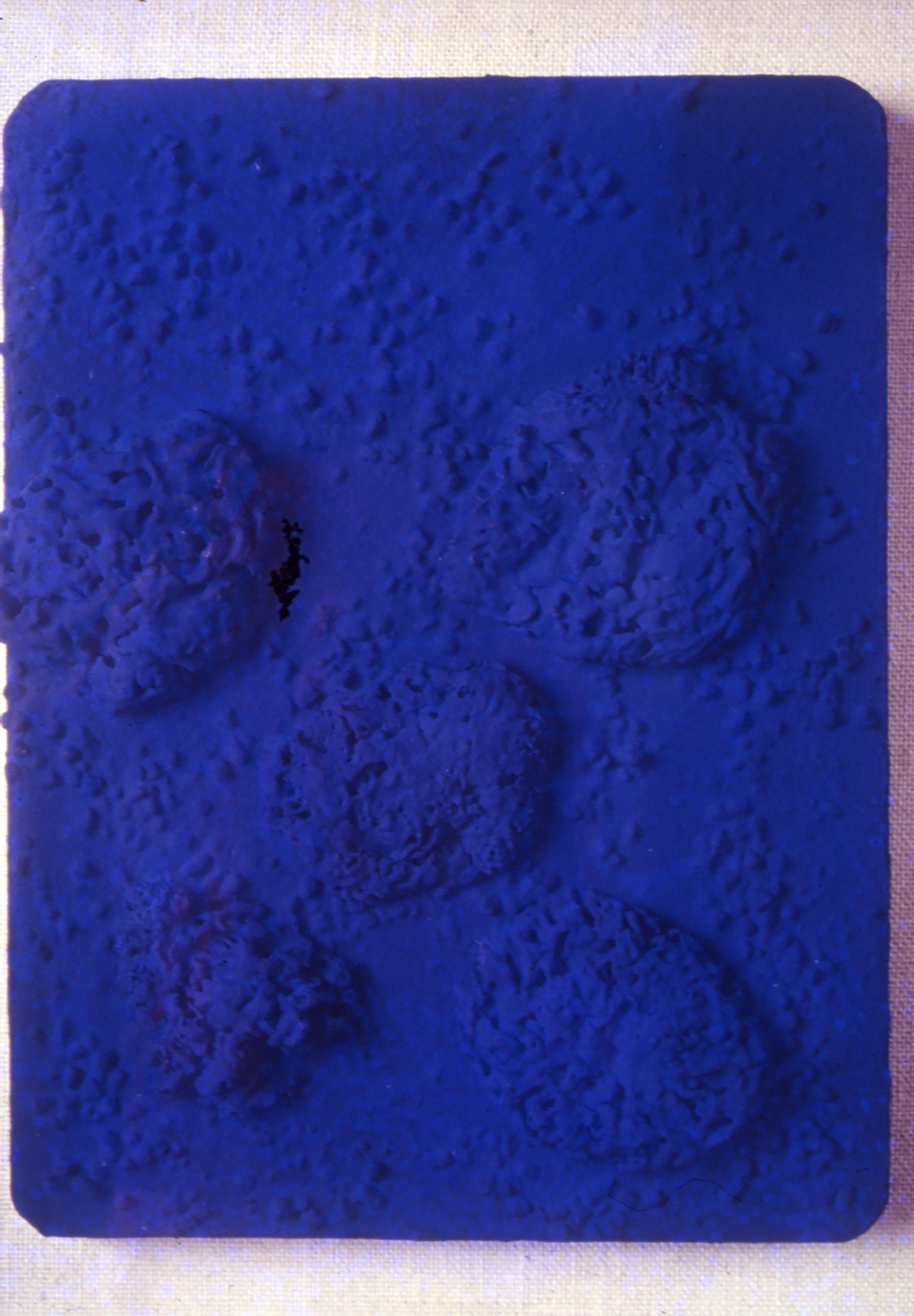 Yves Klein, Relief u00e9ponges, 1960